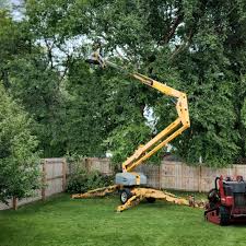 Best Lawn Dethatching Services  in East Newark, NJ