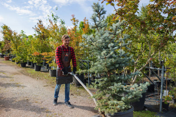 Best Fruit Tree Pruning  in East Newark, NJ